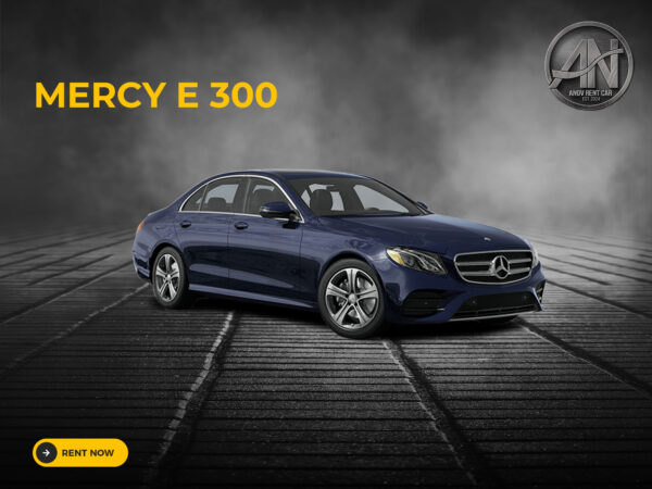 MERCY E 300 AT